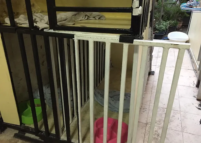 Bed & Breakfast Kzy Forest/bts Udomsuk Bangkok